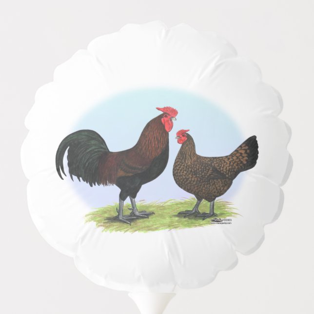 Derbyshire Redcap Fowl Balloon (Back)