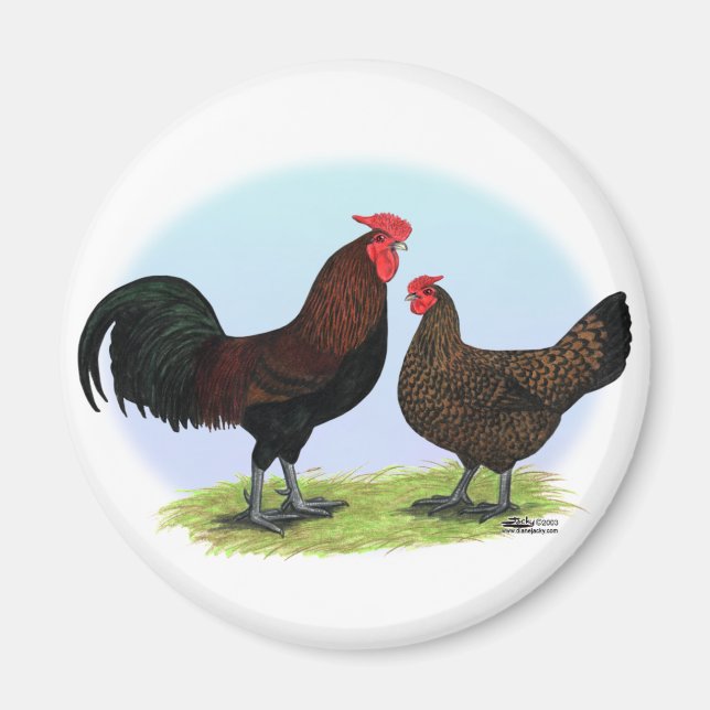 Derbyshire Redcap Fowl Magnet (Front)