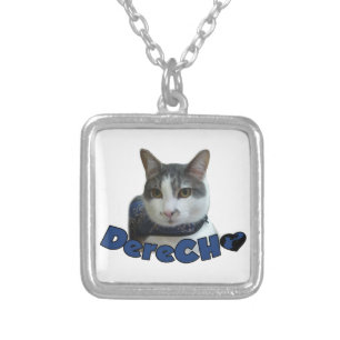 Derecho Products Silver Plated Necklace