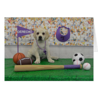 Derecho Sports Card