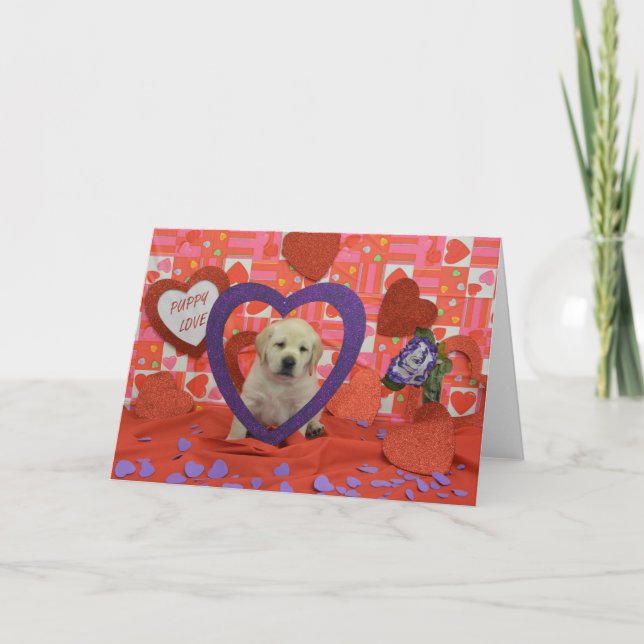 Derecho Week 6 Photo Card (Front)