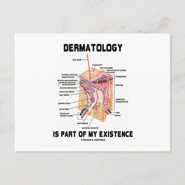 Dermatology Is Part Of My Existence (Skin Layers) Postcard (Front)