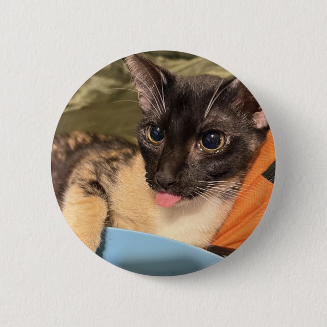 Derpy cat button (Front)