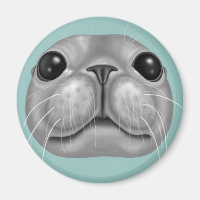 Derpy seal