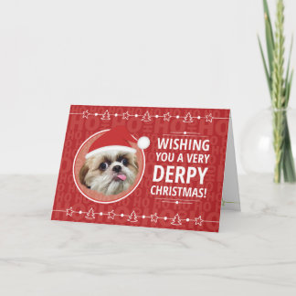 Derpy shih tzu dog Christmas card