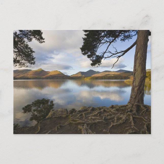 Derwentwater, Lake District, Cumbria, England Postcard (Front)