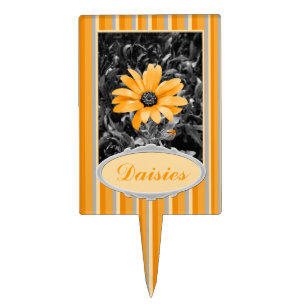 Desaturated Spring Flash African Daisy Photograph Cake Topper