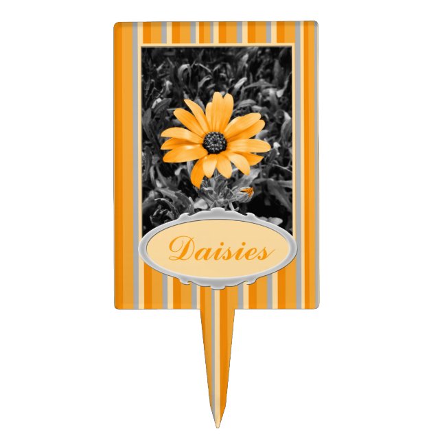 Desaturated Spring Flash African Daisy Photograph Cake Topper (Front)