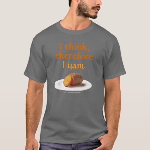 Descartes Pun T_Shirt