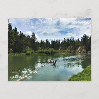 Deschutes River, Oregon Postcard