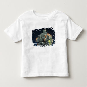 Descloizite on Calcite Toddler T-shirt
