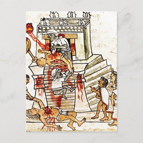 Description Aztec ritual human sacrifice portrayed Postcard