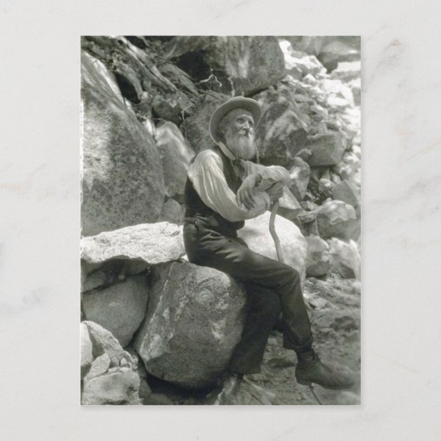 Description John Muir , American conservationist.  Postcard (Front)