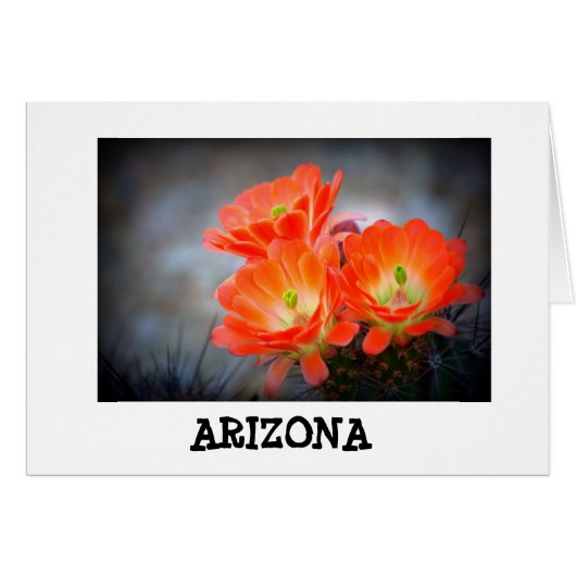 Desert ablaze Arizona Cards (Front Horizontal)