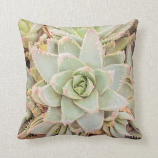 Desert Aloe Throw Pillow