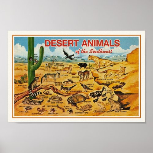 Desert Animals Print