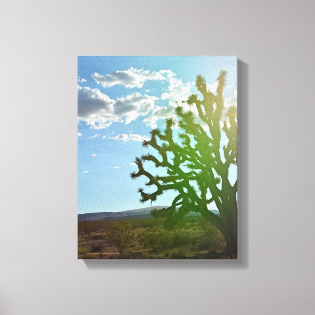 Desert Beauty Canvas Print (Front)