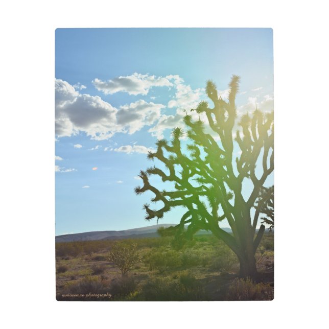 Desert Beauty Metal Print (Front)