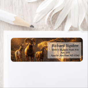 Desert Bighorns Arizona Wildlife Sonoran Desert Label
