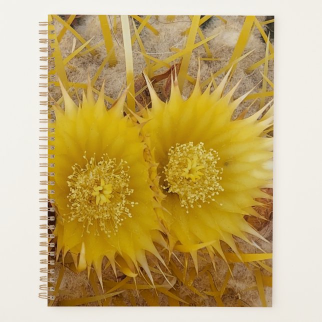 Desert Bloom Vibrant Cactus Flowers  Planner (Front)