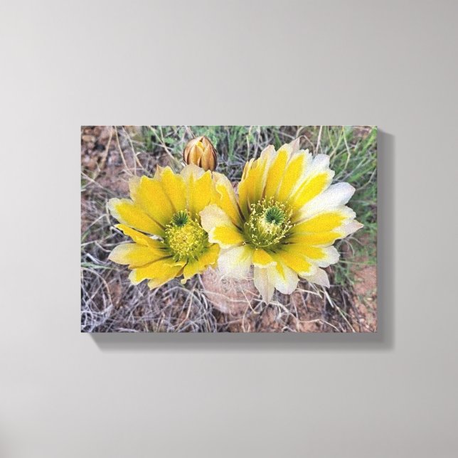 Desert Blooms Canvas Print (Front)