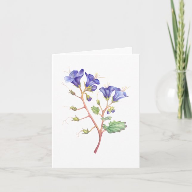 Desert Bluebells Letterpress Thank You Card (Front)