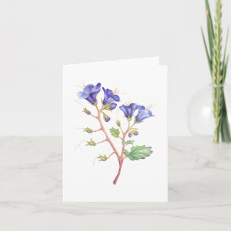 Desert Bluebells Thank You Card
