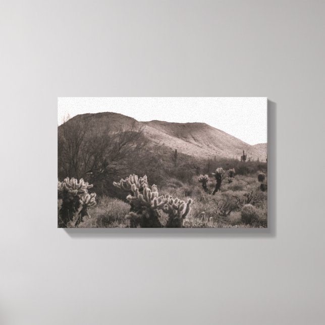 Desert Cacti Jumping Cholla B&W Photo Art Print (Front)