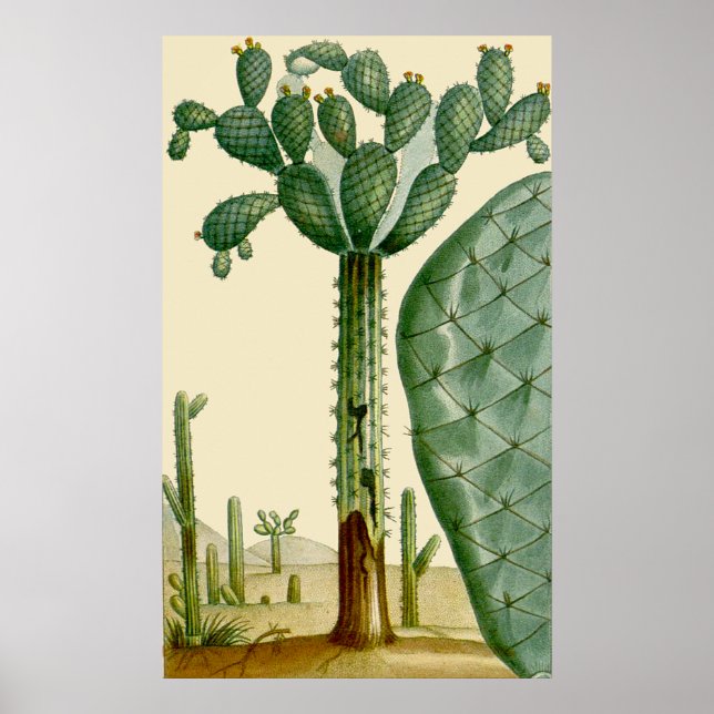 Desert Cacti Scene Poster (Front)