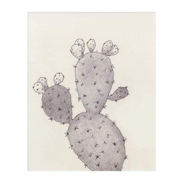 Desert Cactus Acrylic Print (Front)