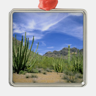 Desert cactus at Organ Pipe National Monument, Metal Ornament