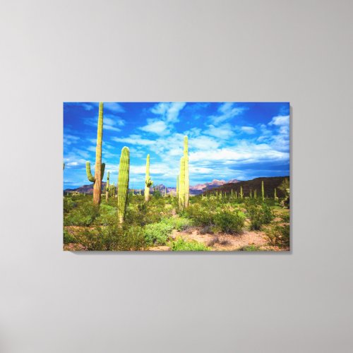 Desert cactus landscape Arizona Canvas Print