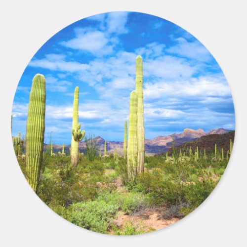 Desert cactus landscape Arizona Classic Round Sticker