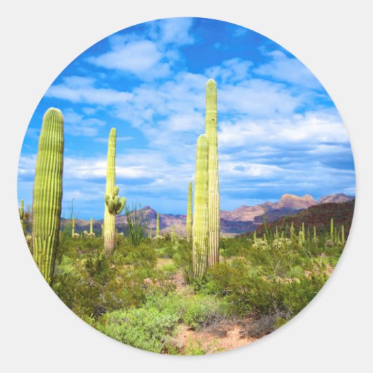 Desert Cactus Landscape Arizona Classic Round Sticker Zazzle Com Desert Cactus Landscape Arizona Classic Round Sticker