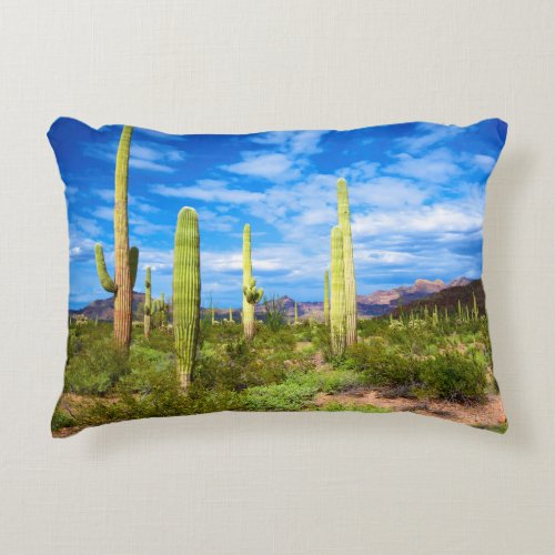 Desert cactus landscape Arizona Decorative Pillow