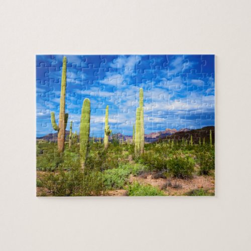 Desert cactus landscape Arizona Jigsaw Puzzle