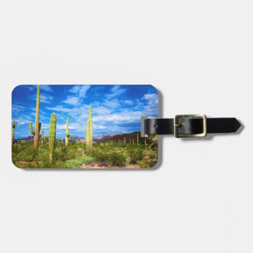 Desert cactus landscape Arizona Luggage Tag
