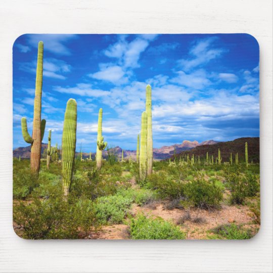 Desert Cactus Landscape Arizona Mouse Pad Zazzle Com Desert Cactus Landscape Arizona Mouse Pad