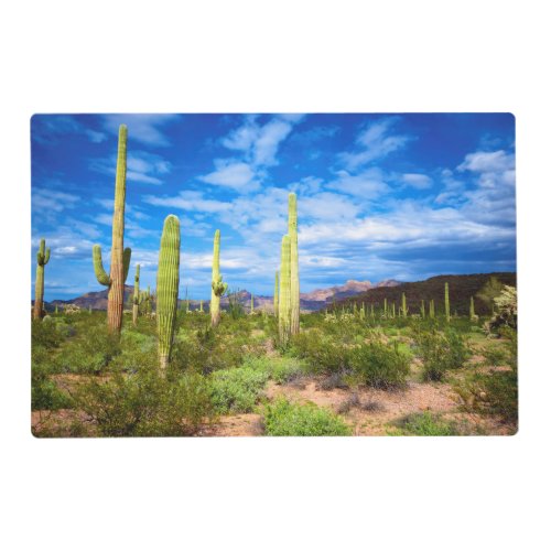 Desert cactus landscape Arizona Placemat