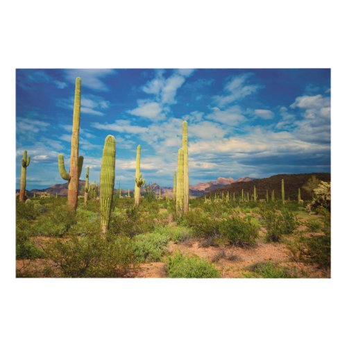 Desert cactus landscape Arizona Wood Wall Decor