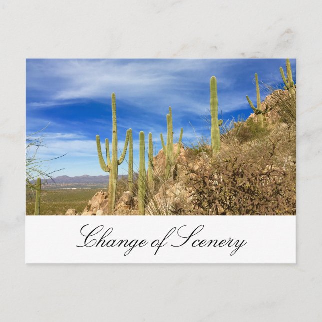 Desert Cactus New Address Moving Announcement Postcard (Front)