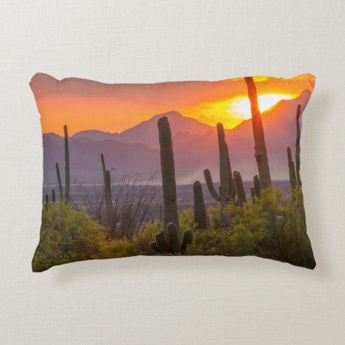 Desert cactus sunset Arizona Accent Pillow