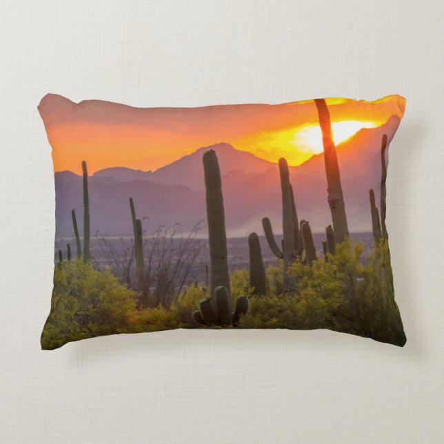 Desert cactus sunset, Arizona Accent Pillow (Front)