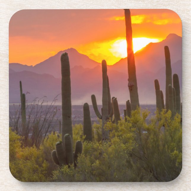Desert cactus sunset, Arizona Beverage Coaster (Front)