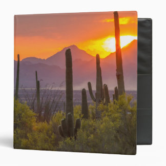 Desert cactus sunset, Arizona Binder