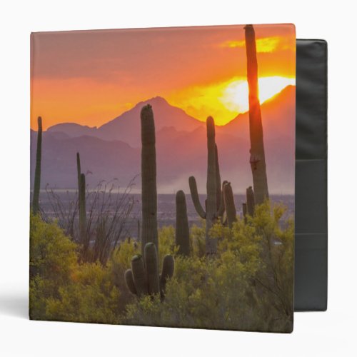 Desert cactus sunset Arizona Binder