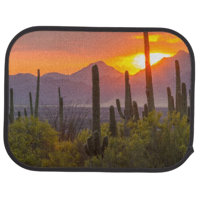 Desert cactus sunset, Arizona Car Mat (Rear)