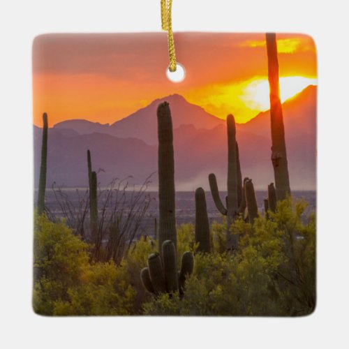 Desert cactus sunset Arizona Ceramic Ornament
