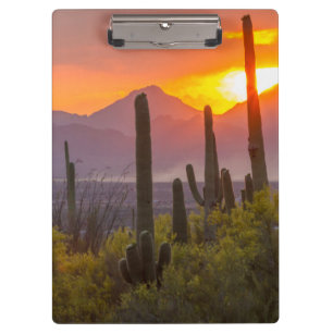 Desert cactus sunset, Arizona Clipboard