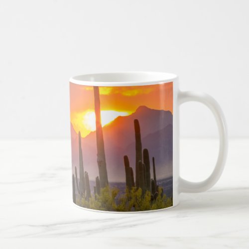 Desert cactus sunset Arizona Coffee Mug